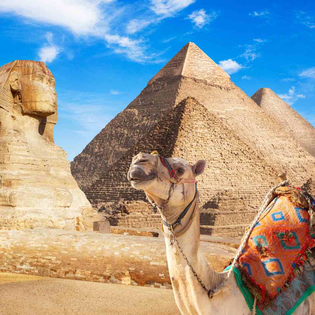 What to do in Egypt?